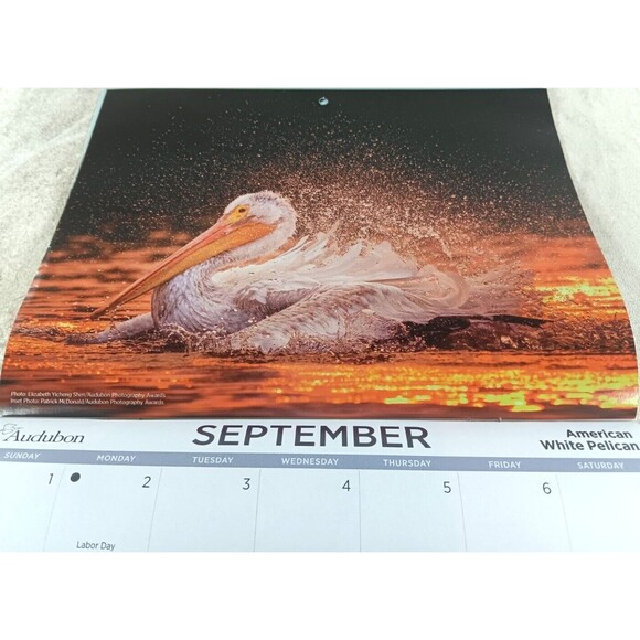 Audubon Society 2024 Wall Calendar 12 Months Protecting Birds and Nature - Picture 9 of 12